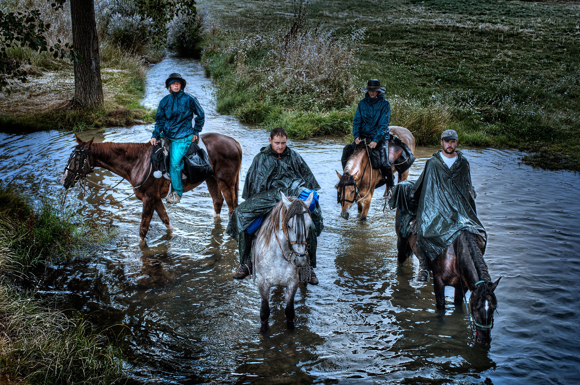 0 pelegrins a cavall