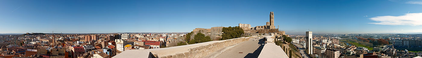 Pano llengua de serp enfocada