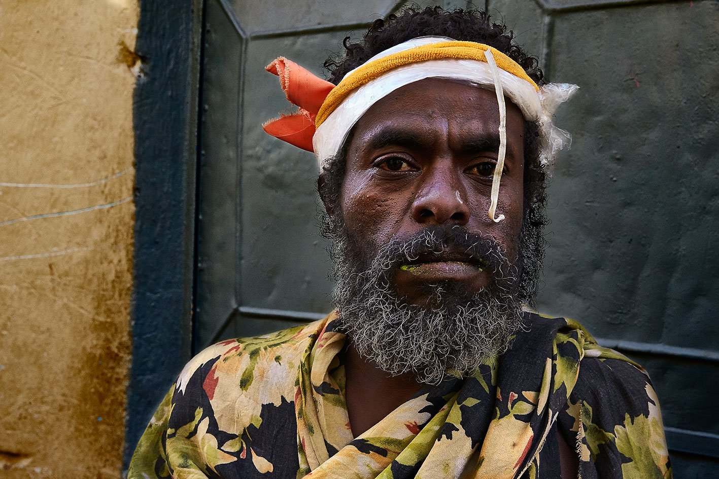 Consumidor de cat Harar enfoc