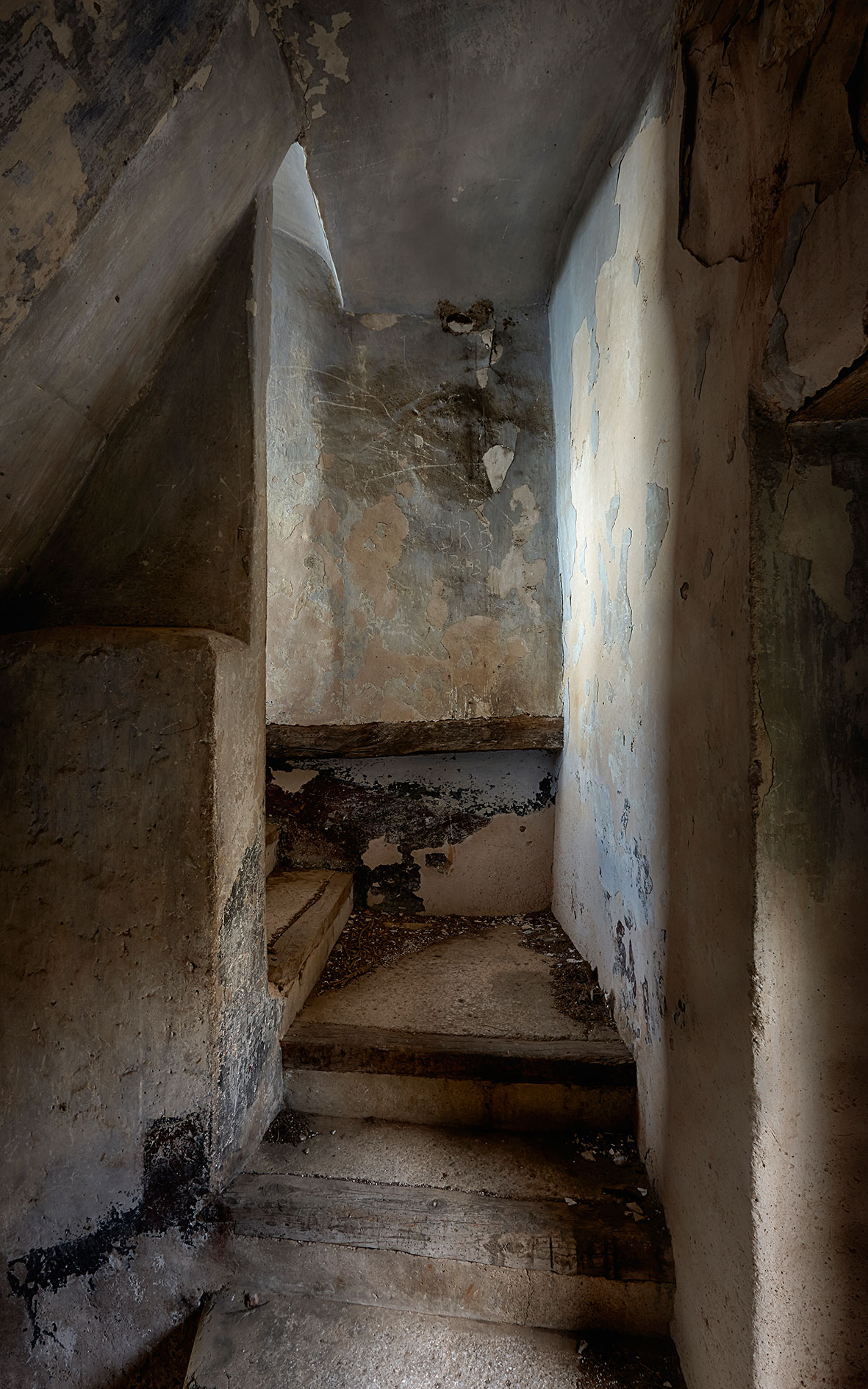 Detritus Estall 47 1