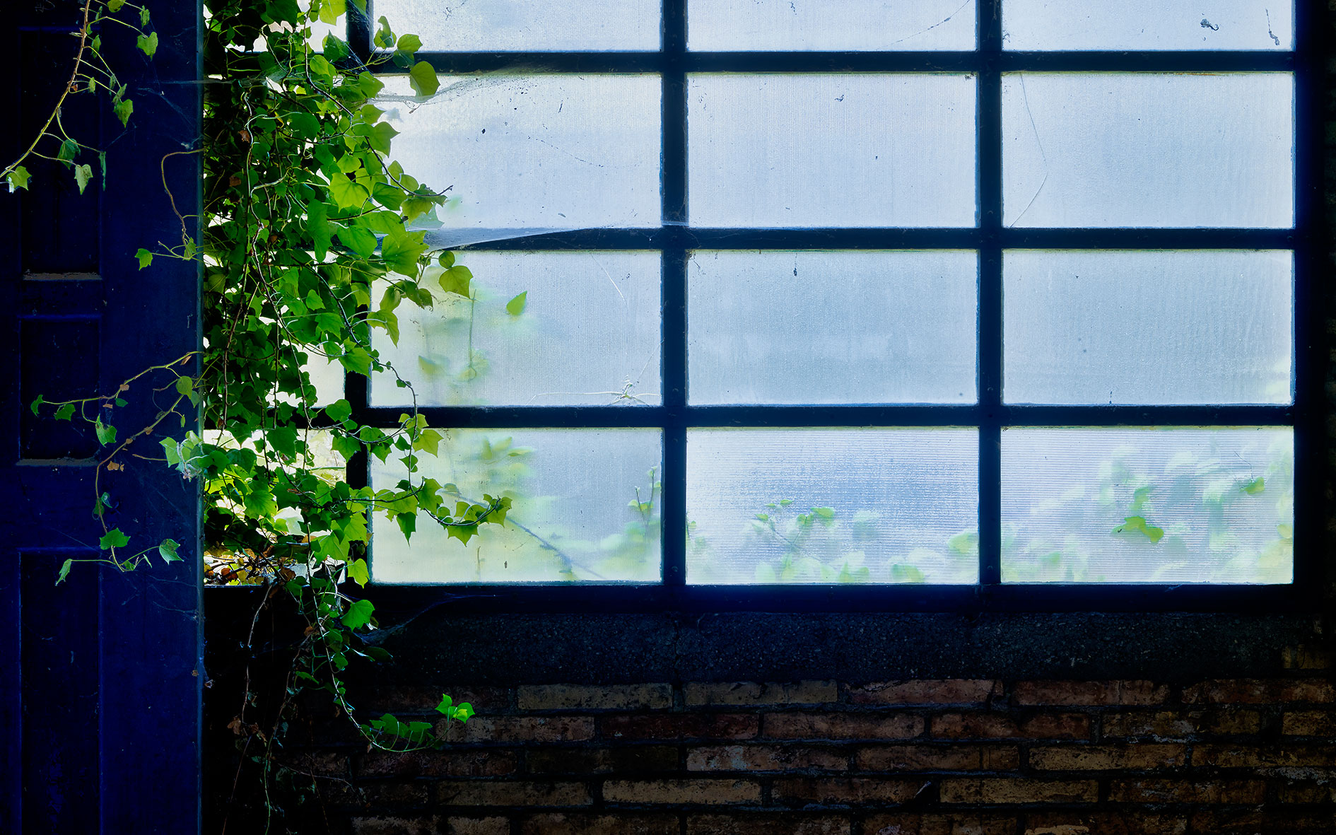 La Blava Vidres i eura