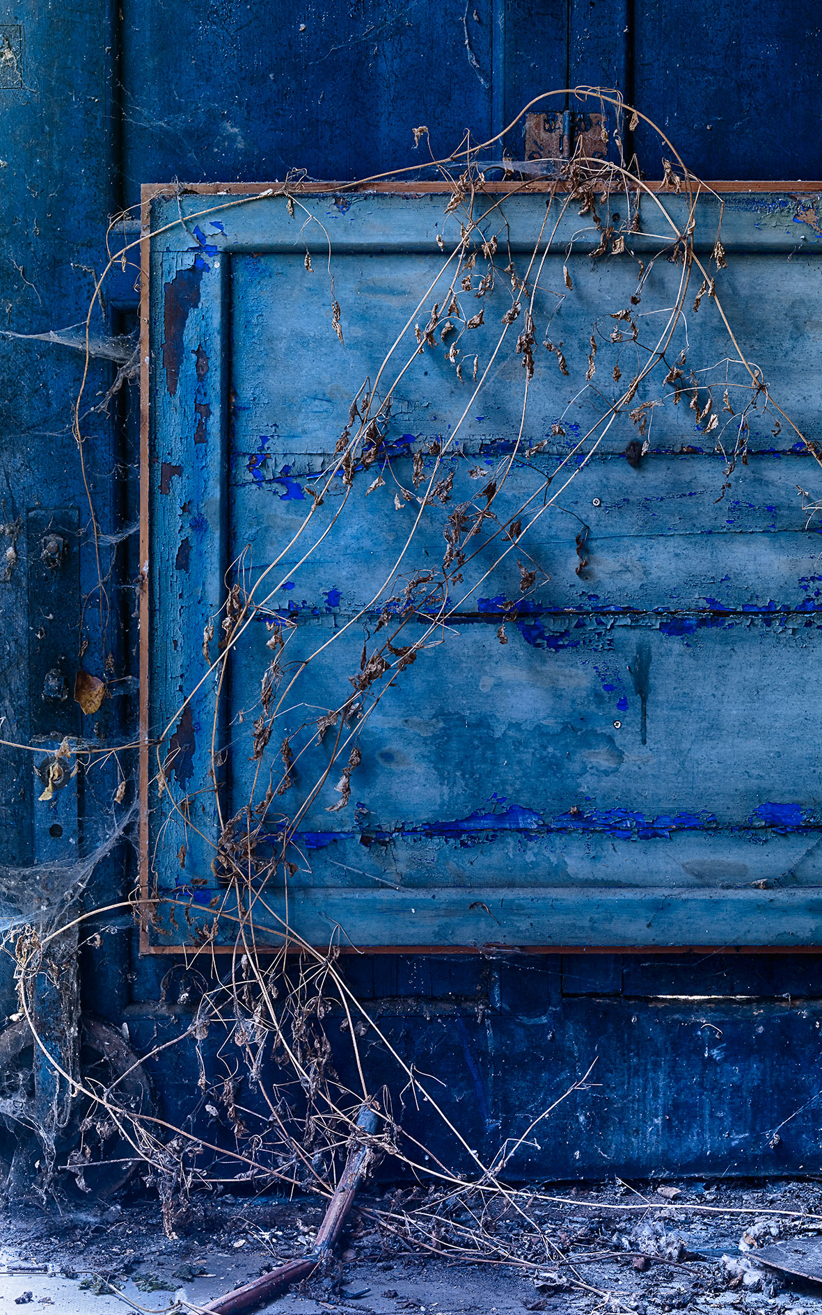 La Blava porta blava