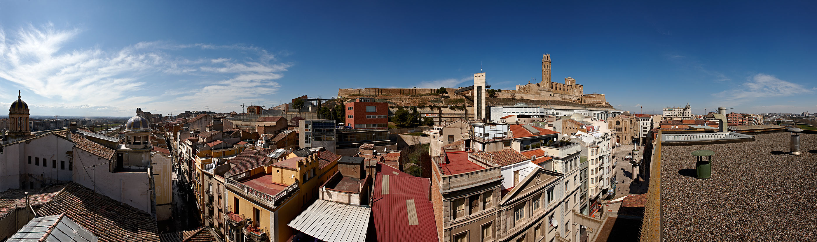 Pano Pal.las fosca enfocada