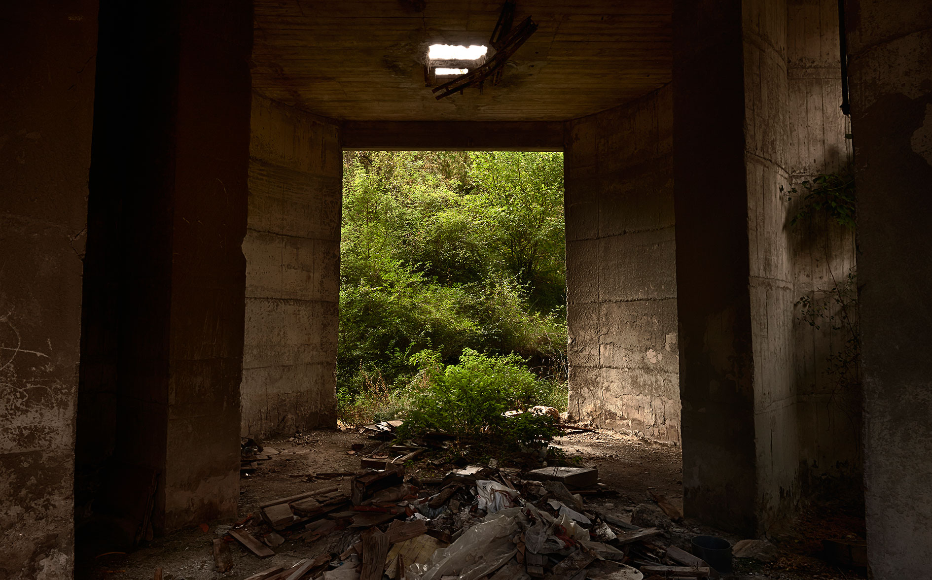 Xerallo detritus 224